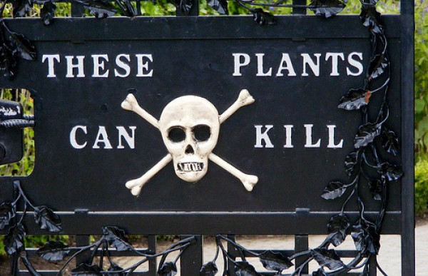sm_poisonous-plants-sign.jpg